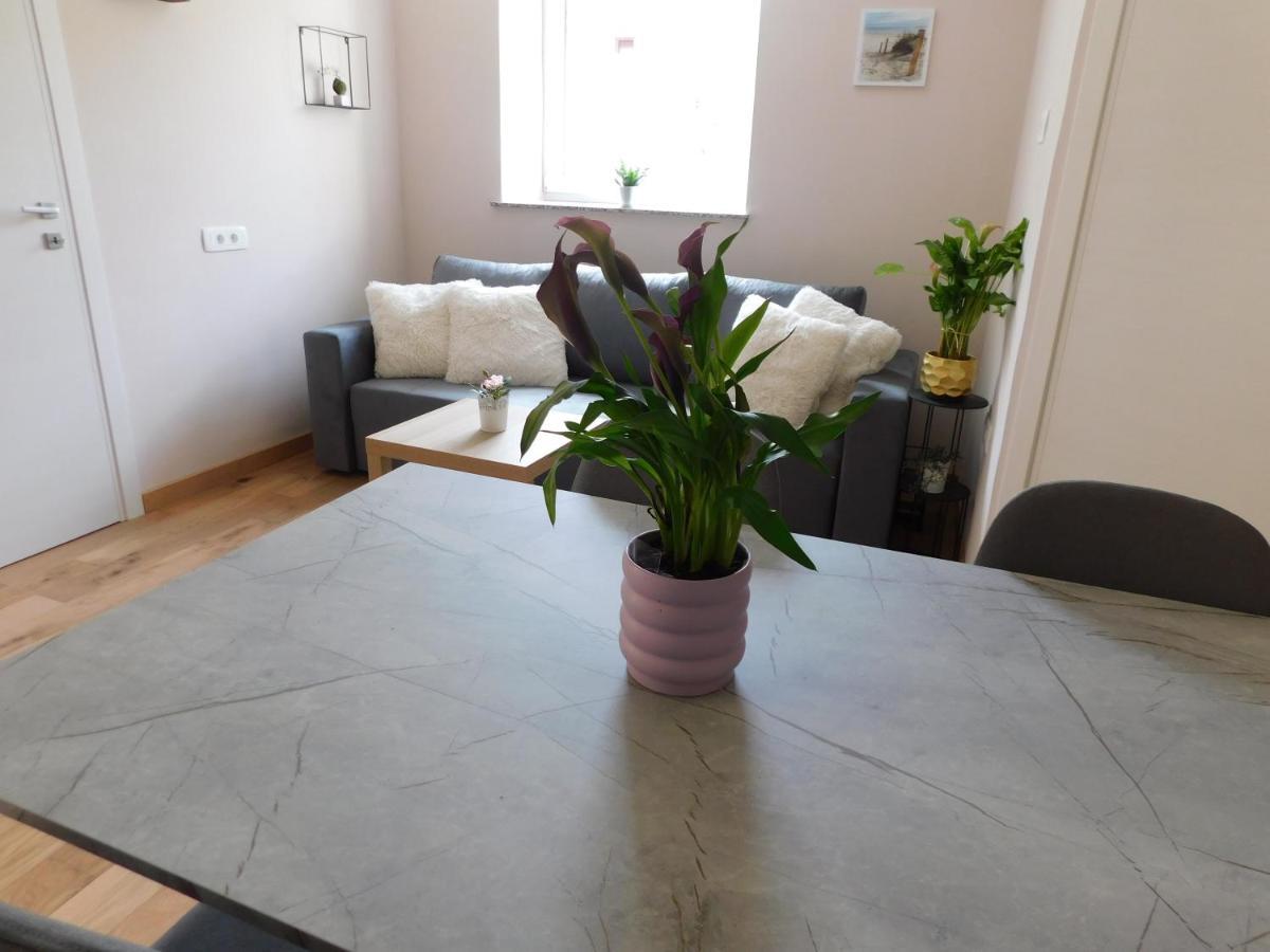 Apartmán Hisa Limoni Koper Exteriér fotografie